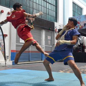 Pesta Kita Merdeka